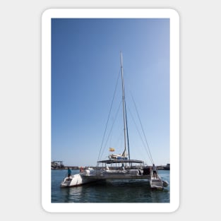 Catamaran. Sticker